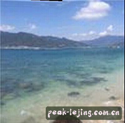 郑浩
